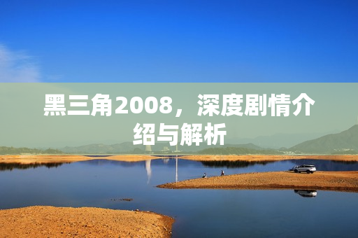 黑三角2008，深度剧情介绍与解析