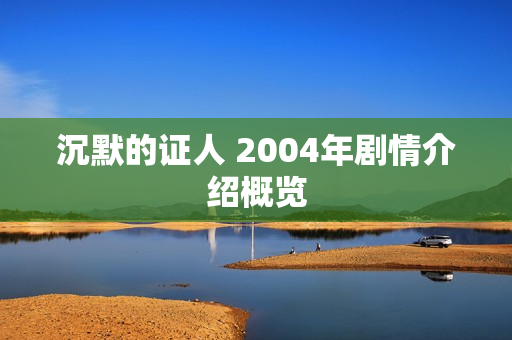 沉默的证人 2004年剧情介绍概览