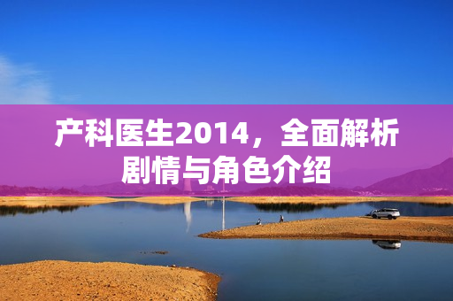 产科医生2014,全面解析剧情与角色介绍 产科医生2014,全面解析剧情与角色介绍