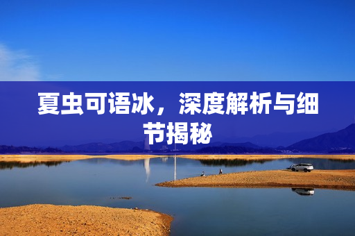 夏虫可语冰，深度解析与细节揭秘