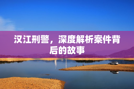 汉江刑警，深度解析案件背后的故事