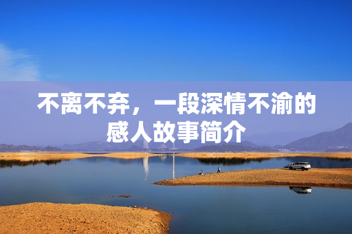 不离不弃，一段深情不渝的感人故事简介