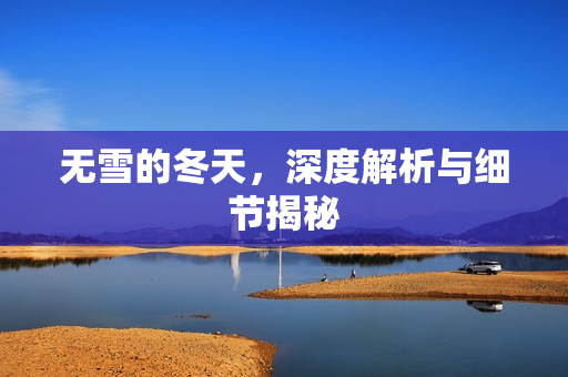 无雪的冬天，深度解析与细节揭秘