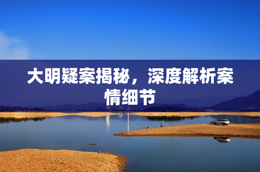 大明疑案揭秘，深度解析案情细节