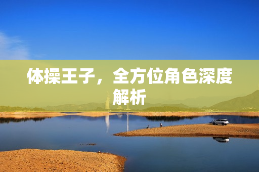 体操王子，全方位角色深度解析