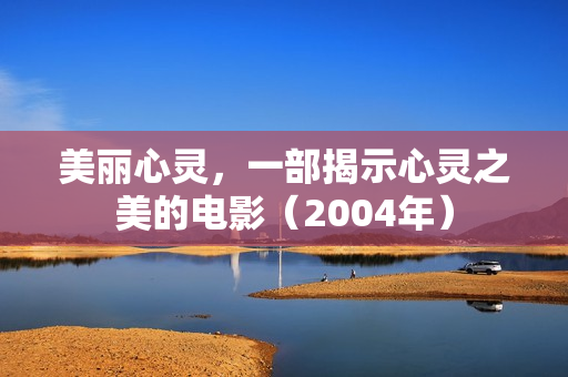 美丽心灵，一部揭示心灵之美的电影（2004年）