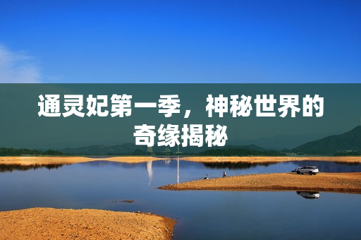 通灵妃第一季，神秘世界的奇缘揭秘