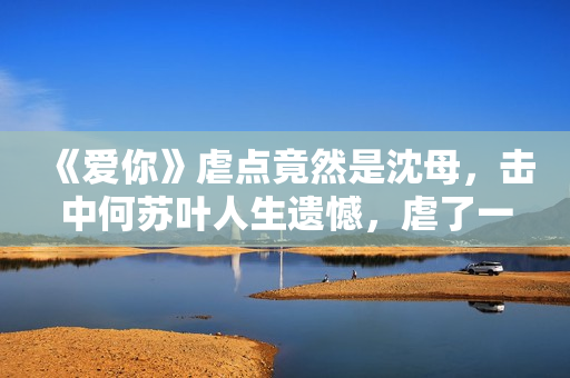 《爱你》虐点竟然是沈母，击中何苏叶人生遗憾，虐了一个大的