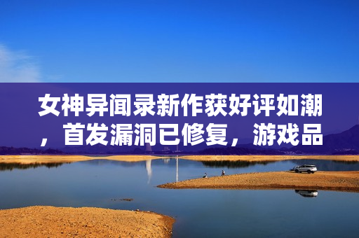 女神异闻录新作获好评如潮，首发漏洞已修复，游戏品质再升级