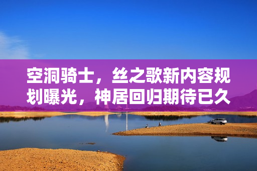 空洞骑士，丝之歌新内容规划曝光，神居回归期待已久！