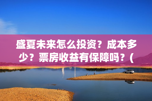 盛夏未来怎么投资？成本多少？票房收益有保障吗？(盛夏未来哪个平台)