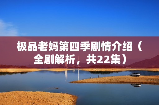 极品老妈第四季剧情介绍（全剧解析，共22集）