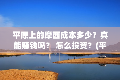 平原上的摩西成本多少？真能赚钱吗？ 怎么投资？(平原上的摩西摩西什么意思)