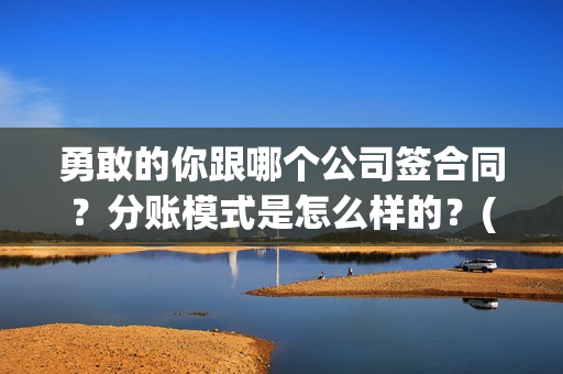 勇敢的你跟哪个公司签合同？分账模式是怎么样的？(勇敢的你跟哪个电影相似)