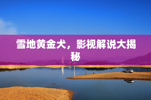 雪地黄金犬，影视解说大揭秘