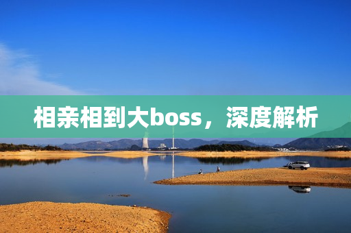 相亲相到大boss，深度解析