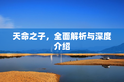 天命之子，全面解析与深度介绍