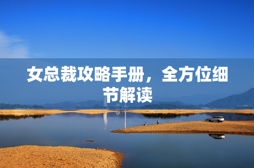 女总裁攻略手册，全方位细节解读
