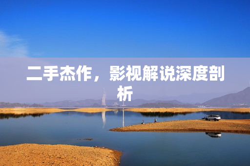 二手杰作，影视解说深度剖析