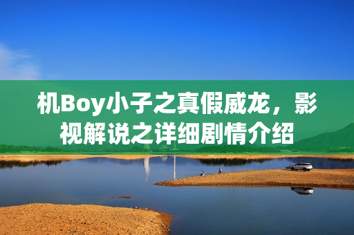机Boy小子之真假威龙，影视解说之详细剧情介绍