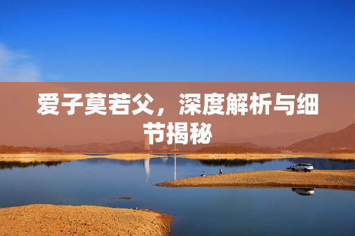 爱子莫若父，深度解析与细节揭秘