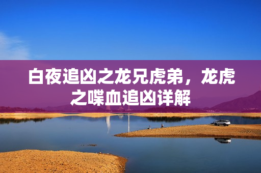 白夜追凶之龙兄虎弟，龙虎之喋血追凶详解