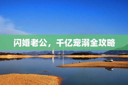 闪婚老公，千亿宠溺全攻略