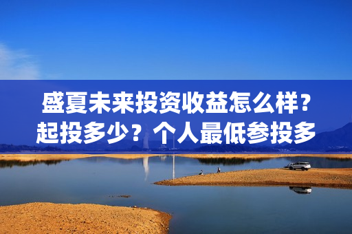 盛夏未来投资收益怎么样？起投多少？个人最低参投多少？(盛夏未来总投资)