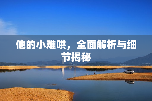 他的小难哄，全面解析与细节揭秘