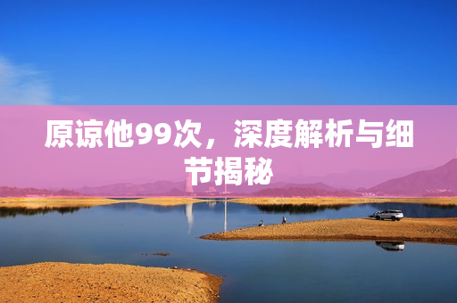 原谅他99次，深度解析与细节揭秘