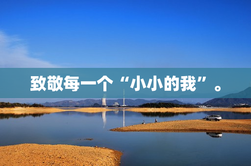 致敬每一个“小小的我”。