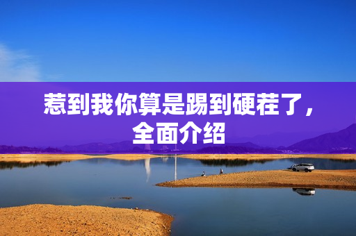 惹到我你算是踢到硬茬了，全面介绍