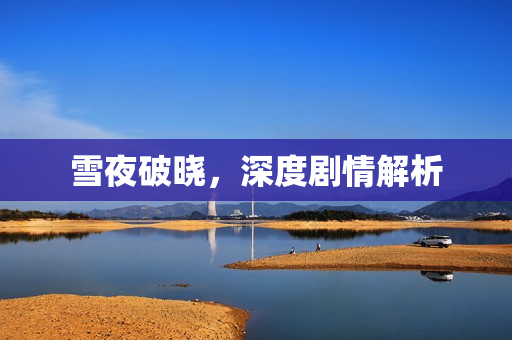 雪夜破晓，深度剧情解析