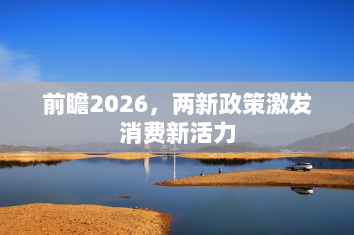 前瞻2026，两新政策激发消费新活力