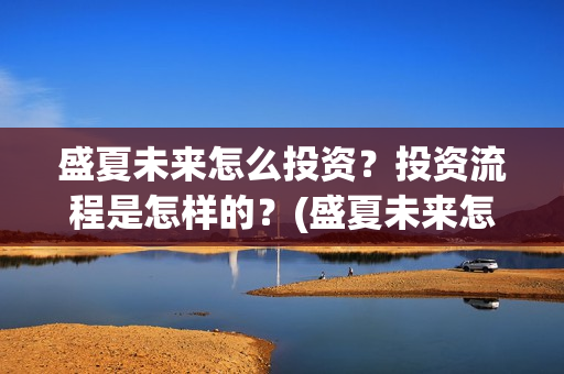 盛夏未来怎么投资？投资流程是怎样的？(盛夏未来怎么投资)