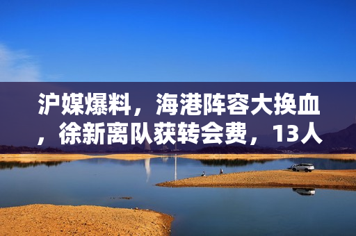 沪媒爆料，海港阵容大换血，徐新离队获转会费，13人合同到期