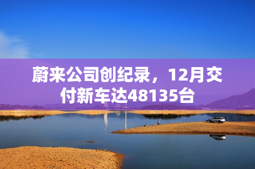 蔚来公司创纪录，12月交付新车达48135台