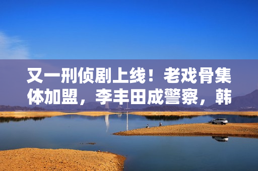 又一刑侦剧上线！老戏骨集体加盟，李丰田成警察，韩雪或成败笔？