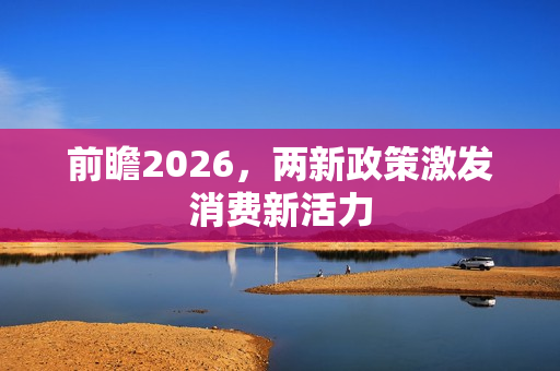 前瞻2026，两新政策激发消费新活力