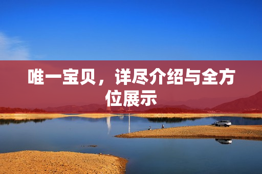 唯一宝贝，详尽介绍与全方位展示