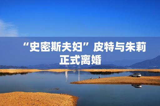 “史密斯夫妇”皮特与朱莉正式离婚