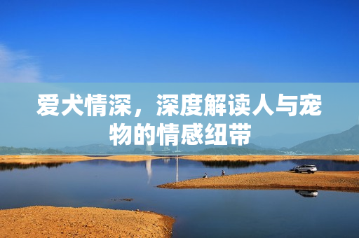 爱犬情深，深度解读人与宠物的情感纽带