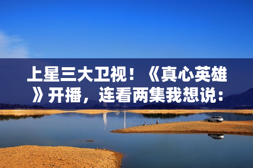 上星三大卫视！《真心英雄》开播，连看两集我想说：这才叫刑侦剧