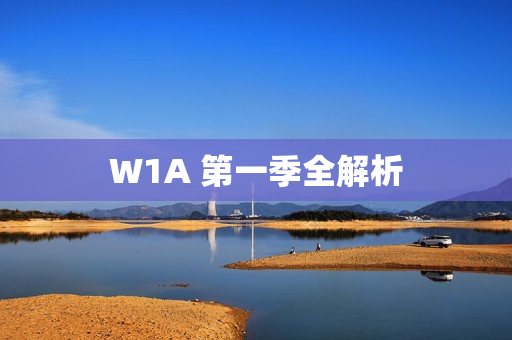 W1A 第一季全解析