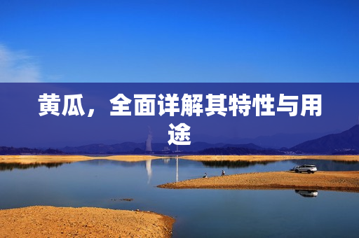 黄瓜，全面详解其特性与用途