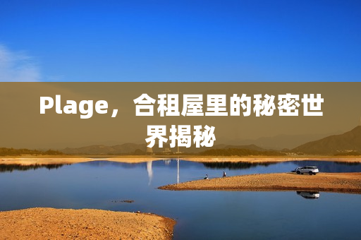 Plage，合租屋里的秘密世界揭秘