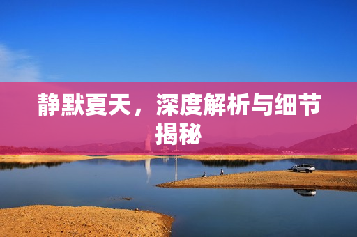 静默夏天，深度解析与细节揭秘