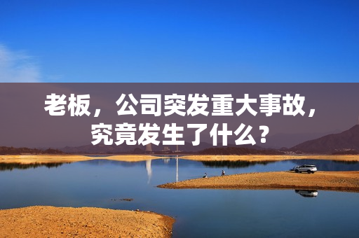 老板，公司突发重大事故，究竟发生了什么？