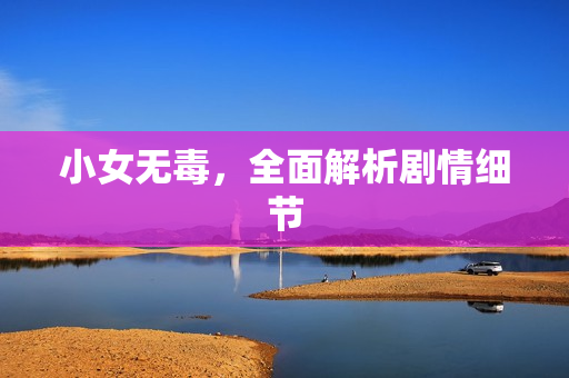 小女无毒，全面解析剧情细节