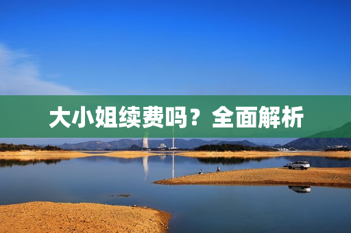 大小姐续费吗？全面解析